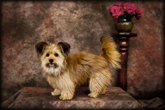 bella image photo 29
