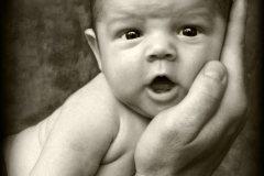 bella-image-photo-19
