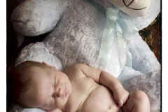 bella-image-photo-43