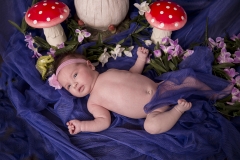 bella-image-photo-50