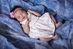 bella-image-photo-52