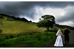 bella image 39