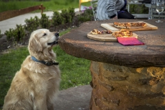 bella image 59